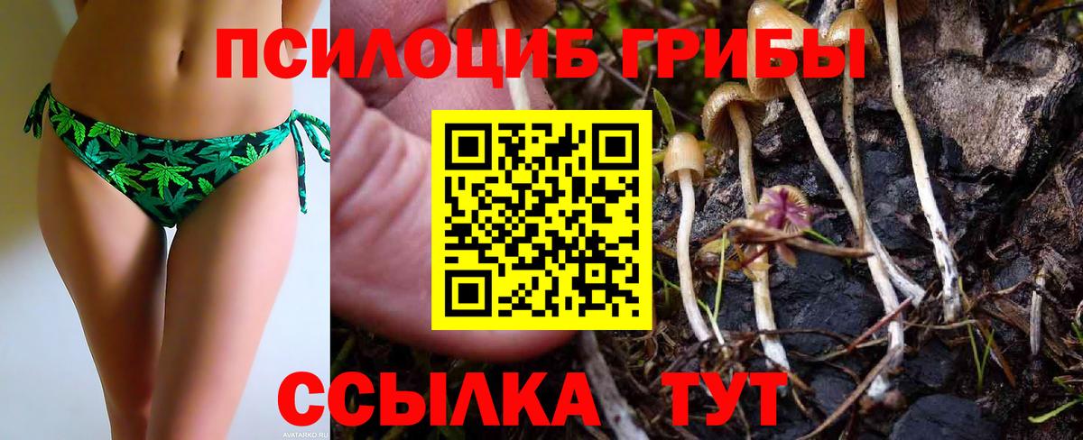 Галлюциногенные грибы GOLDEN TEACHER  Вход с VPN  Ревда 