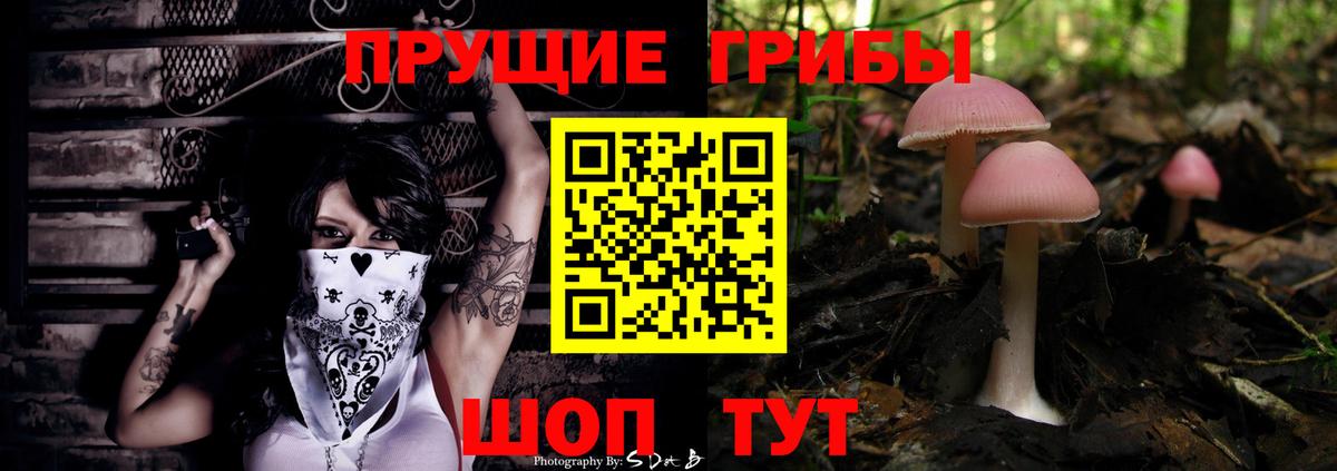 Галлюциногенные грибы прущие грибы Ревда